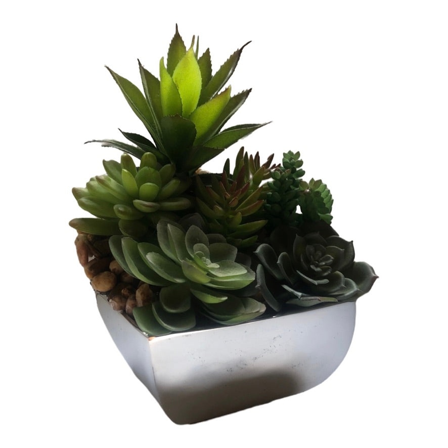 An array of green succulents flourishes in a Decorative Flower Vase, artistically crafted from recycled aluminum alloy, against a white background.