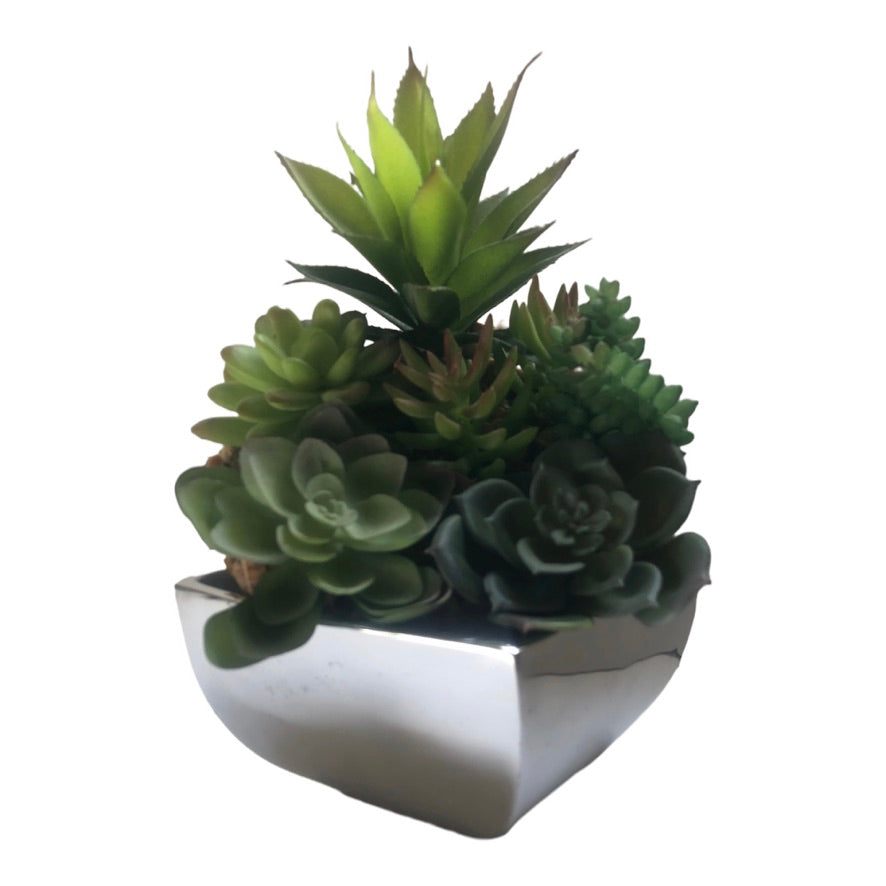 An array of green succulents flourishes in a Decorative Flower Vase, artistically crafted from recycled aluminum alloy, against a white background.