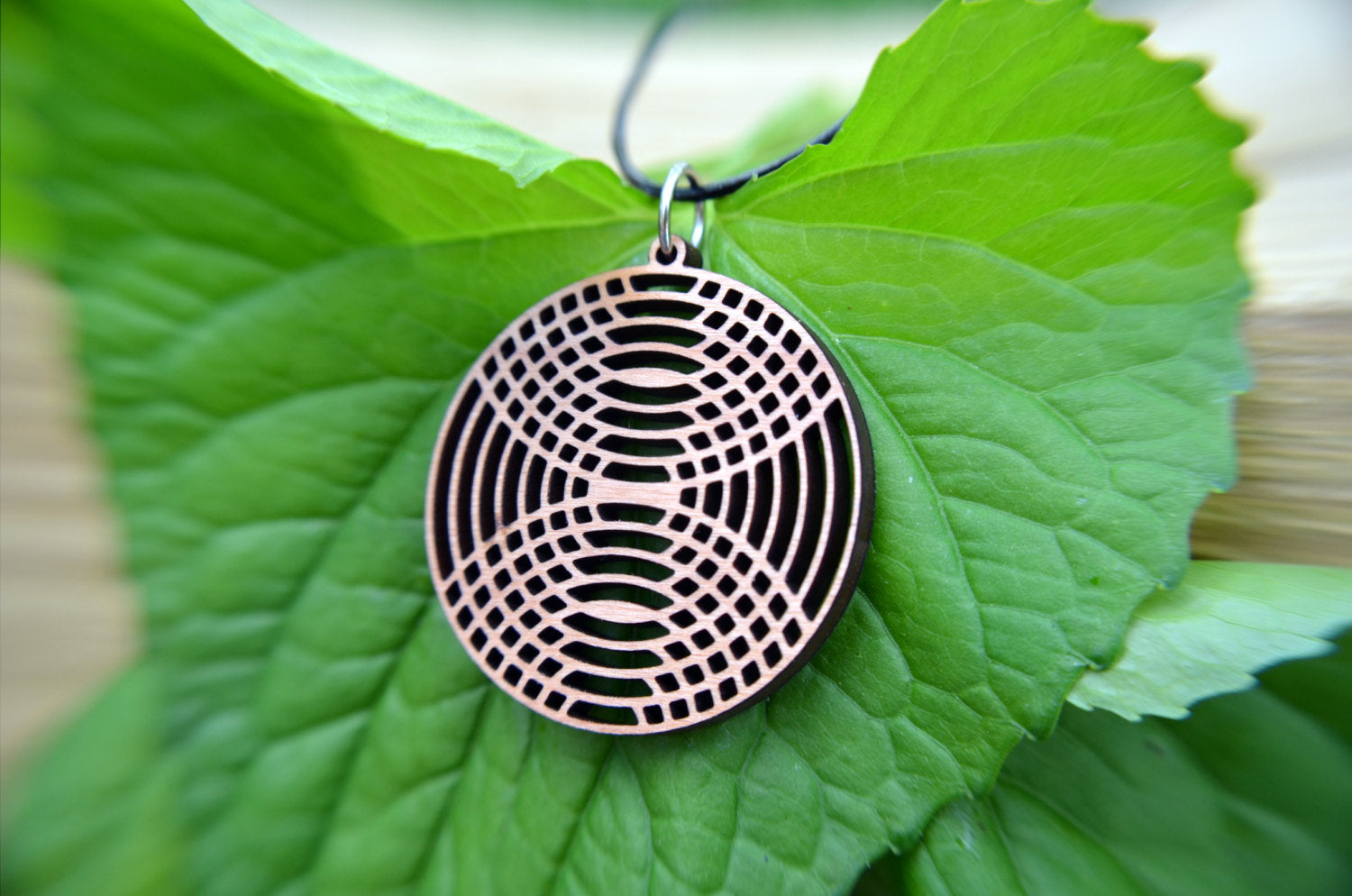 The Mirror Image Circle Pendant in cherry on leather cord by GioGio Jewelry elegantly rests on green leaves, showcasing its intricate geometric patterns.