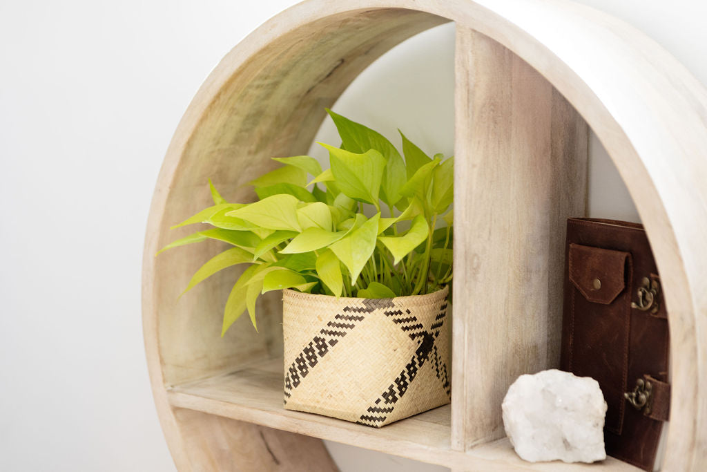 Round wooden wall shelf with four sections, showcasing a 6" Neon Pothos in a planter basket, a closed leather journal, and a white stone.