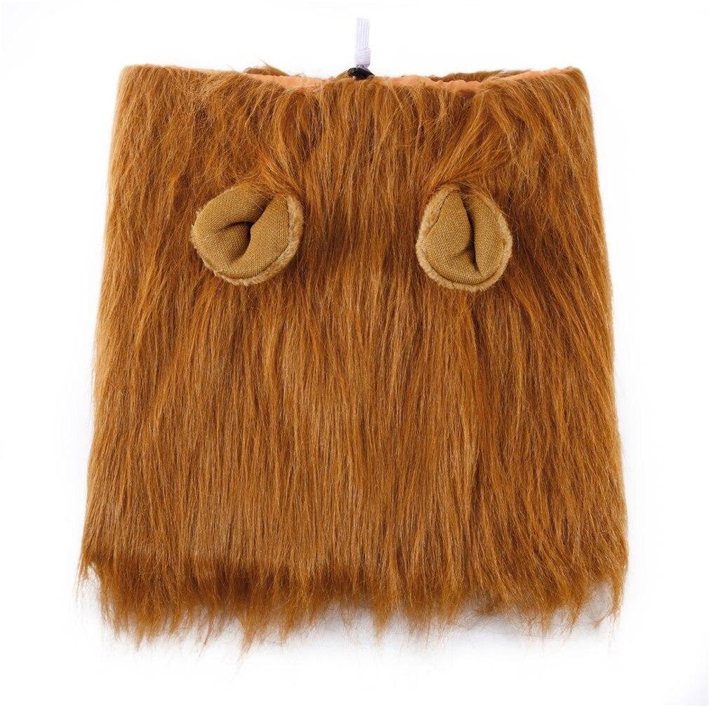 A dog in a Lion Theme Dog Wig with an adjustable elastic band standing in front of a white background, perfect for Halloween costume parties.