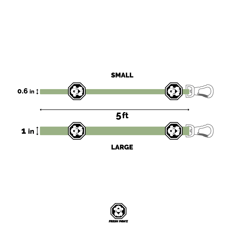A French bulldog wearing a Kilo Cuban Link leash sits beside a person's leg, wearing blue and white sneakers, on a concrete path.