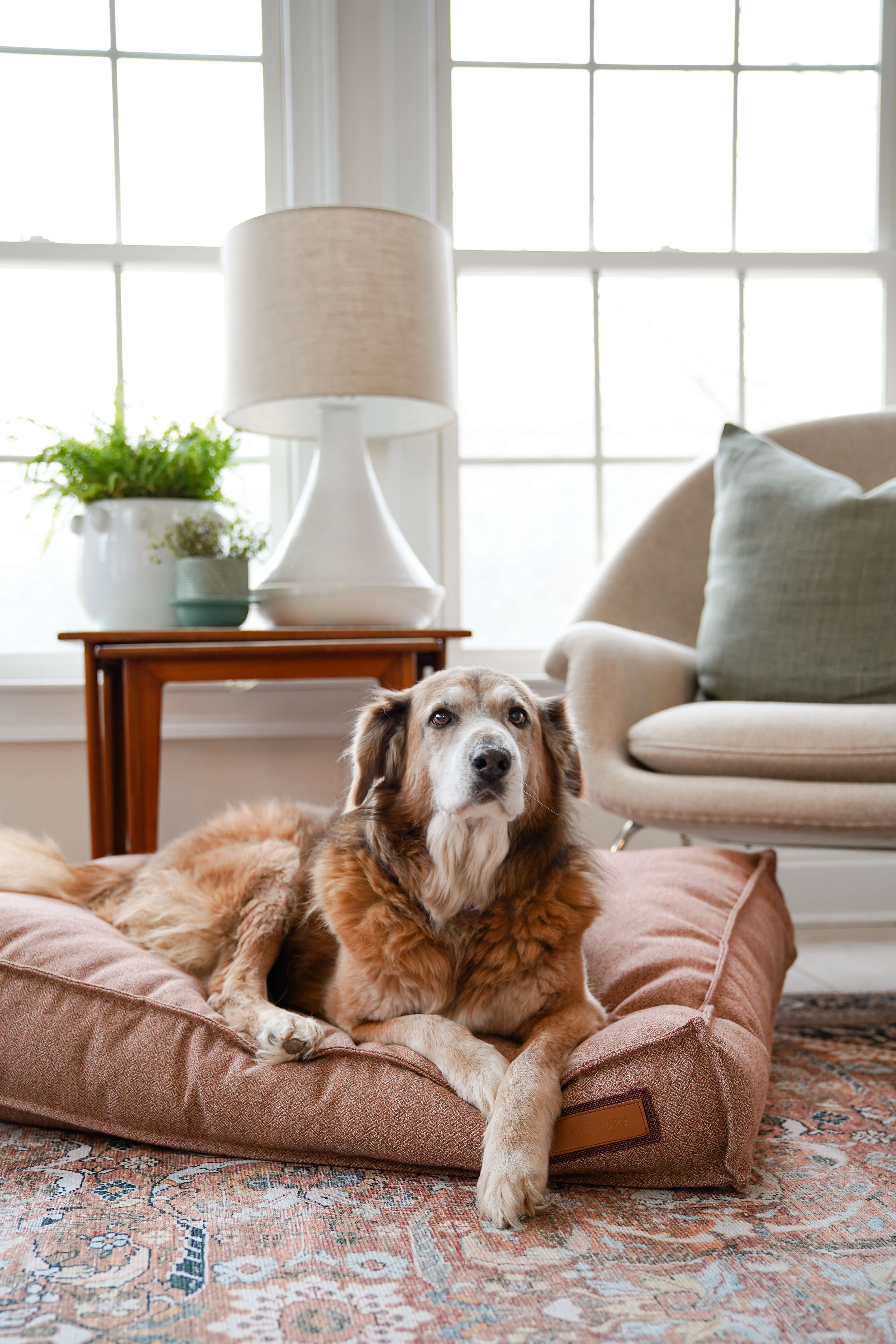 The Lounger Pet Bed in Pittie Pink features a textured surface with a repeating geometric pattern in shades of red and white, reminiscent of intricate woven or embroidered fabric, crafted from Sunbrella fabric made using recycled plastic water bottles.