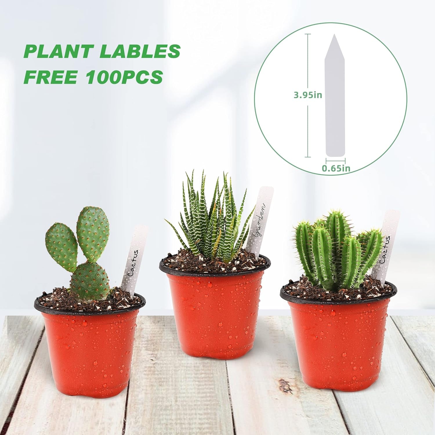 4" Small Plastic Plant Nursery Pot/Pots (100Pcs) Seedlings Flower Plant Container (Red) Seed Starting Pots Indoor Outdoor, Come with 100Pcs Plant Labels