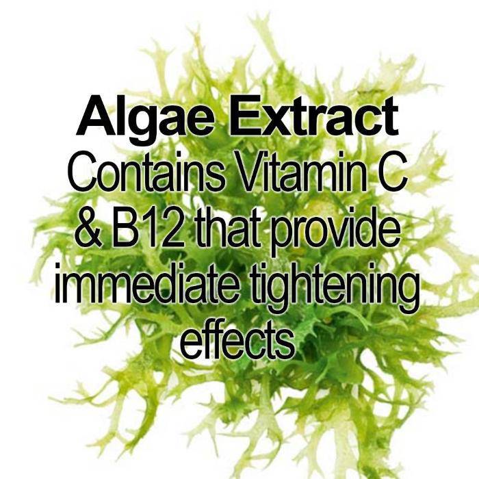 Jar of Organic Skin Renewal Night Face Cream - Hydrates & Lifts with algae extract, displayed against a white background.