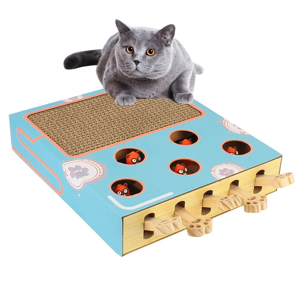 A kitten is sitting on top of a FelinFun Triple Treat Cat Toy, guaranteeing exercise and reducing kitten boredom.