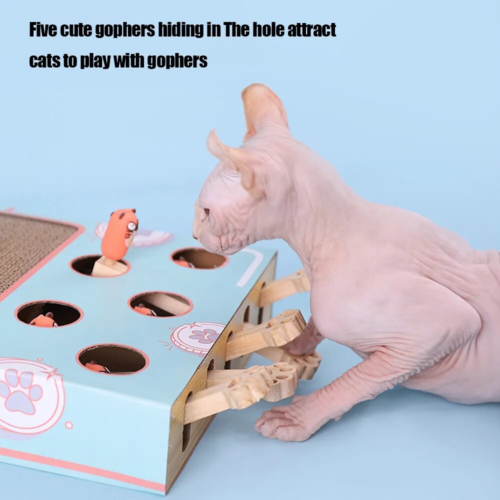 A kitten is sitting on top of a FelinFun Triple Treat Cat Toy, guaranteeing exercise and reducing kitten boredom.