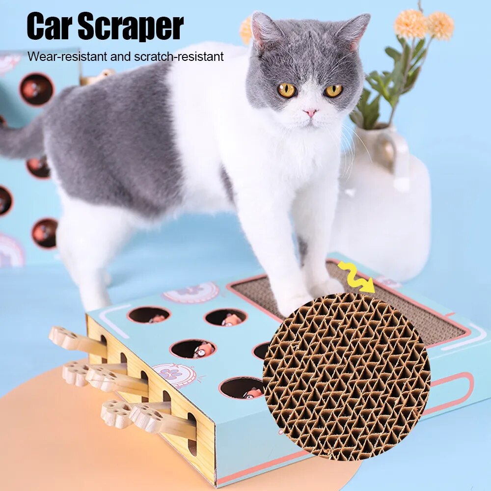 A kitten is sitting on top of a FelinFun Triple Treat Cat Toy, guaranteeing exercise and reducing kitten boredom.