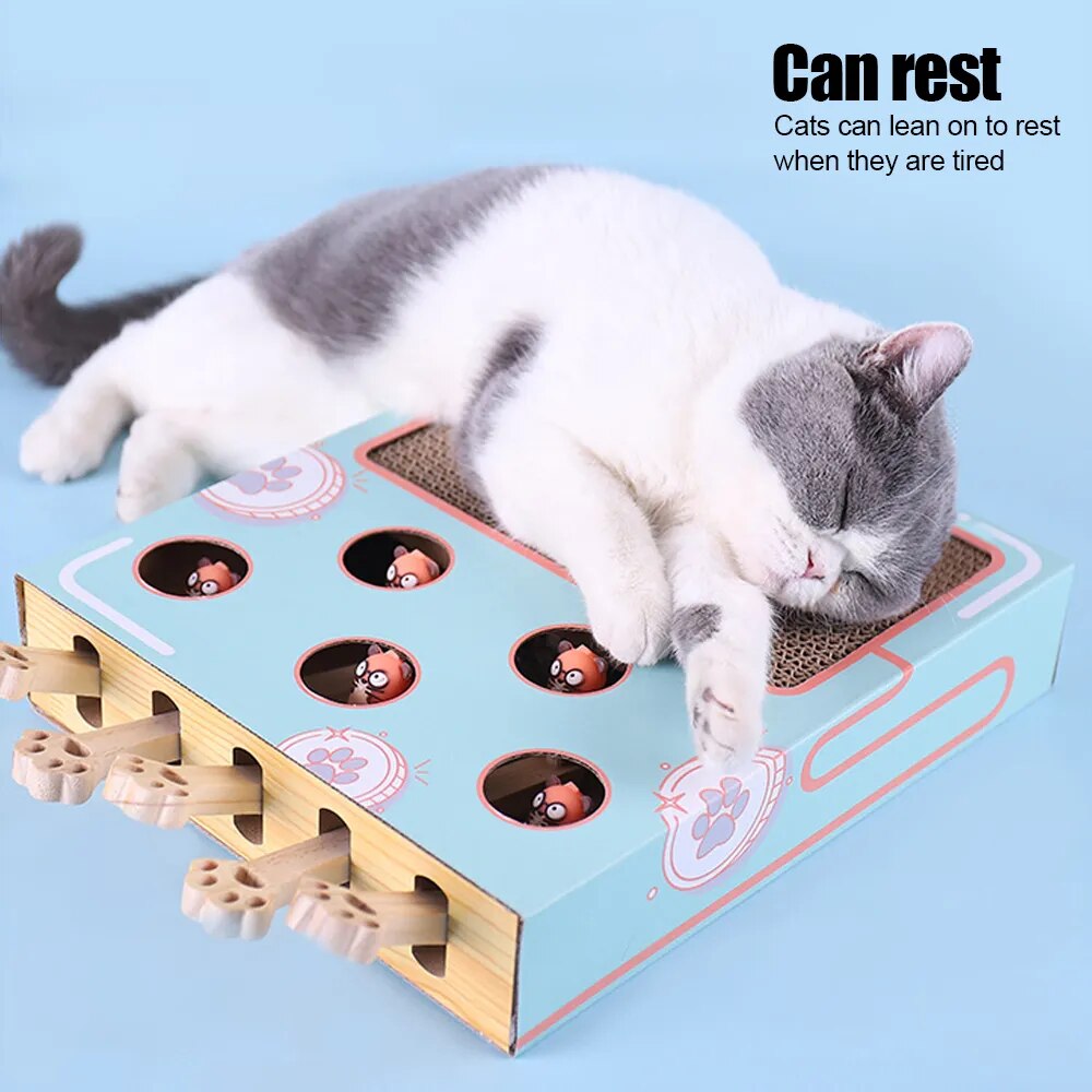 A kitten is sitting on top of a FelinFun Triple Treat Cat Toy, guaranteeing exercise and reducing kitten boredom.