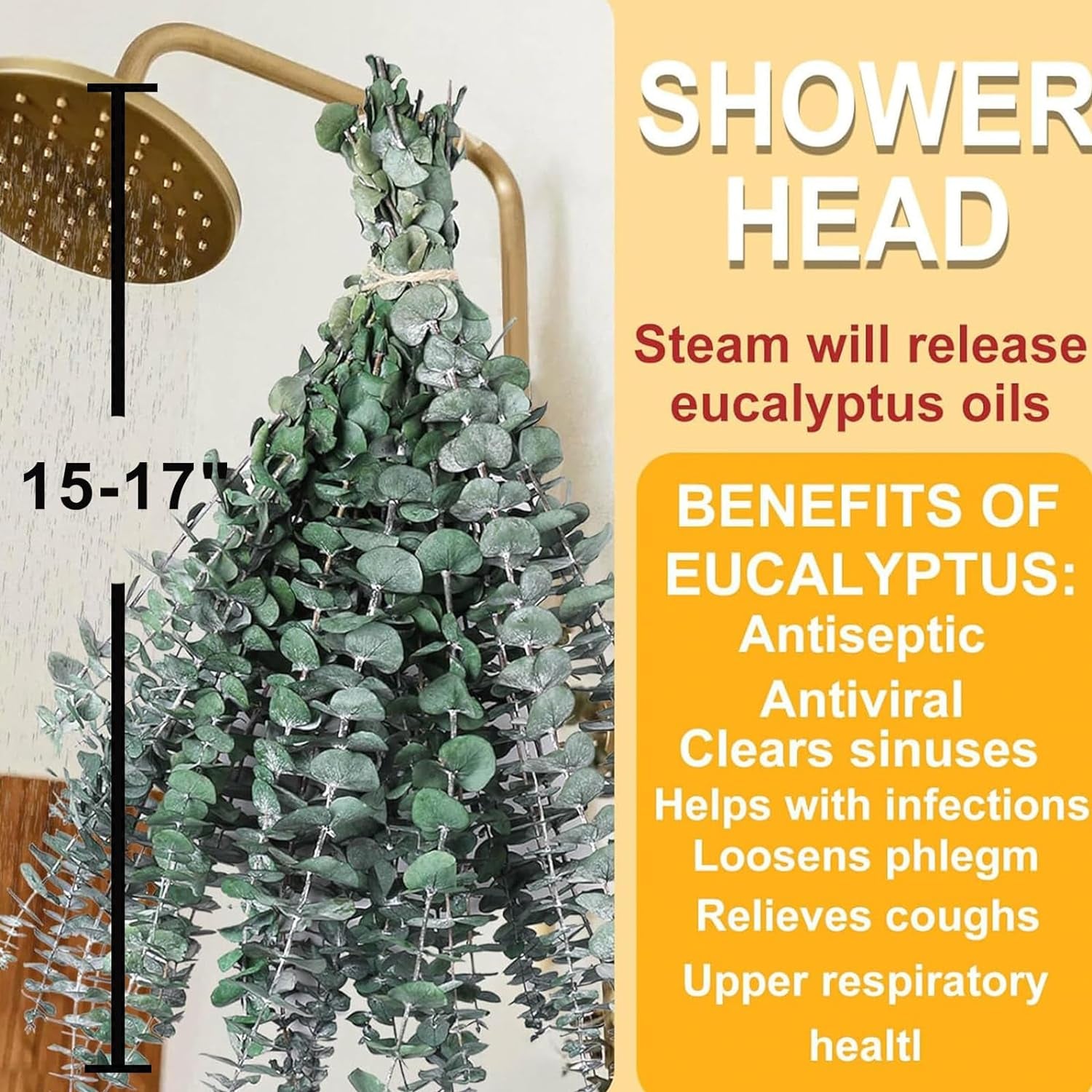 12 PCS Dried Eucalyptus Bundle for Shower - 17" Large Preserved Eucalyptus Stems Shower Plant, Fresh Real Eucalyptus Leaves for Shower Hanging, Artificial Flowers Arrangement, Home Bathroom Decor