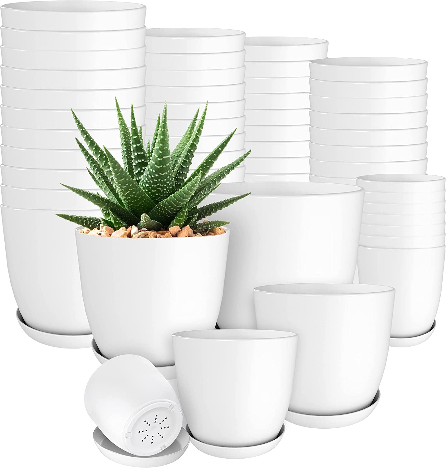 - Plant Pots Indoor with Drainage - 7/6.6/6/5.3/4.8 Inches Home Decor Flower Pots for Indoor Planter - Pack of 5 Plastic Planters for Indoor Plants, Cactus, Succulents Pot - White