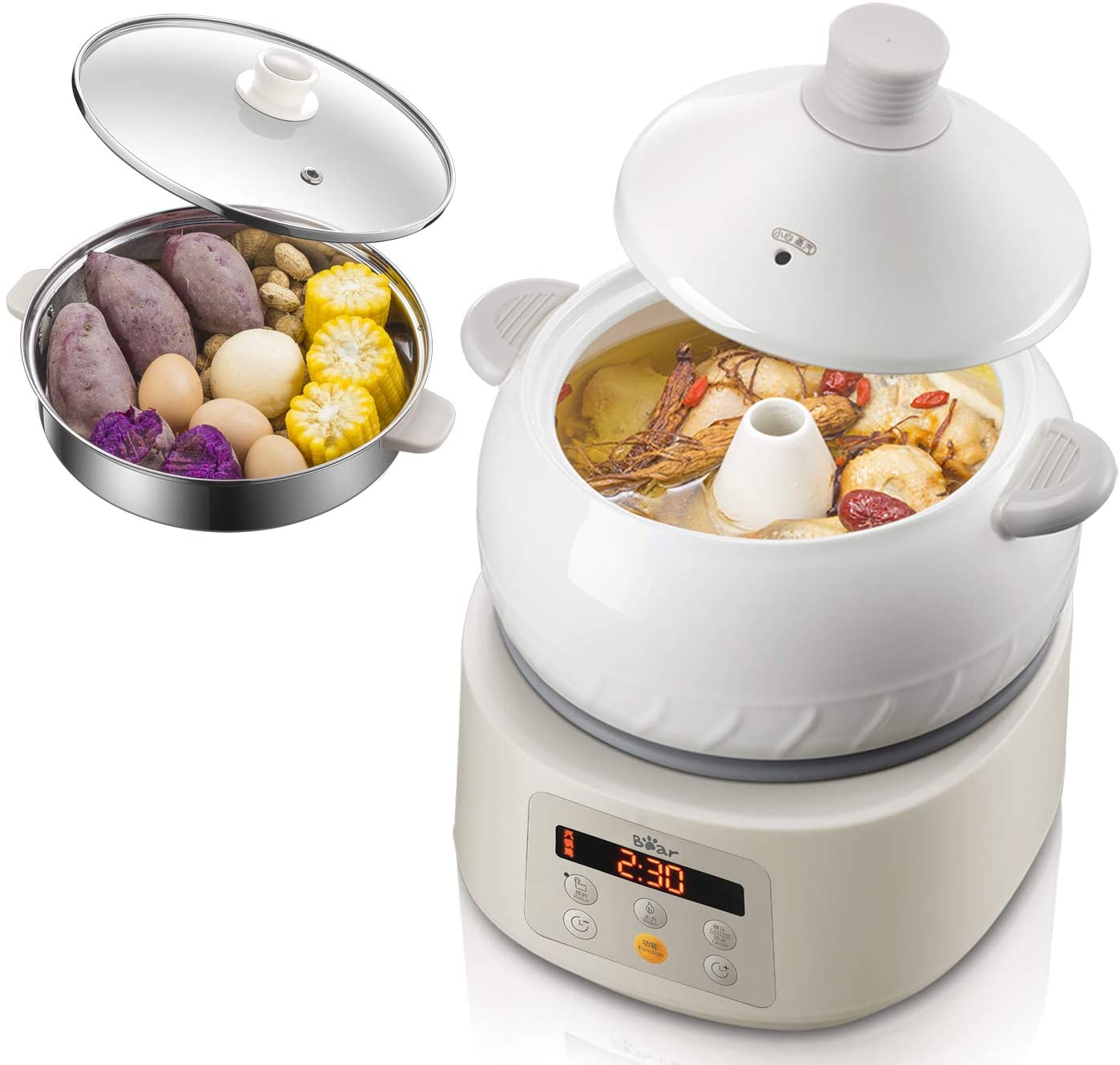 Multi-Function Electric Steam Cooker