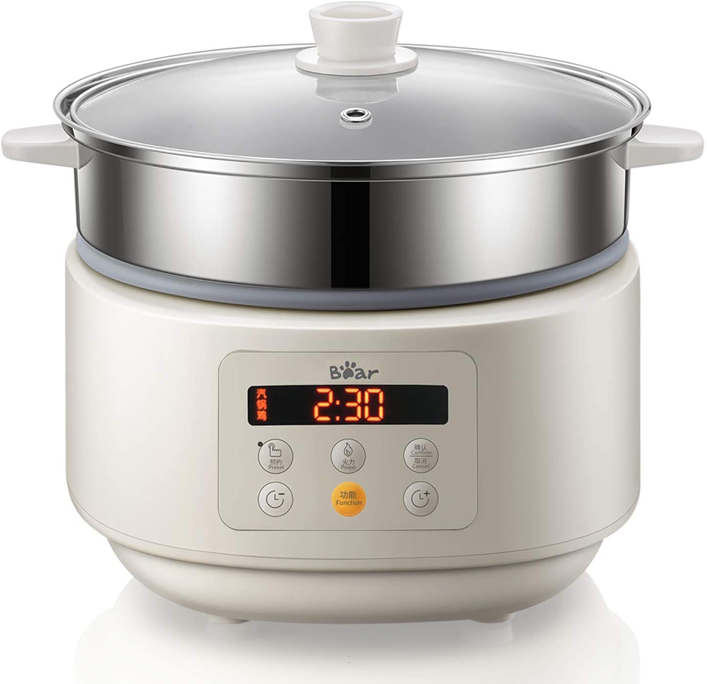 Multi-Function Electric Steam Cooker