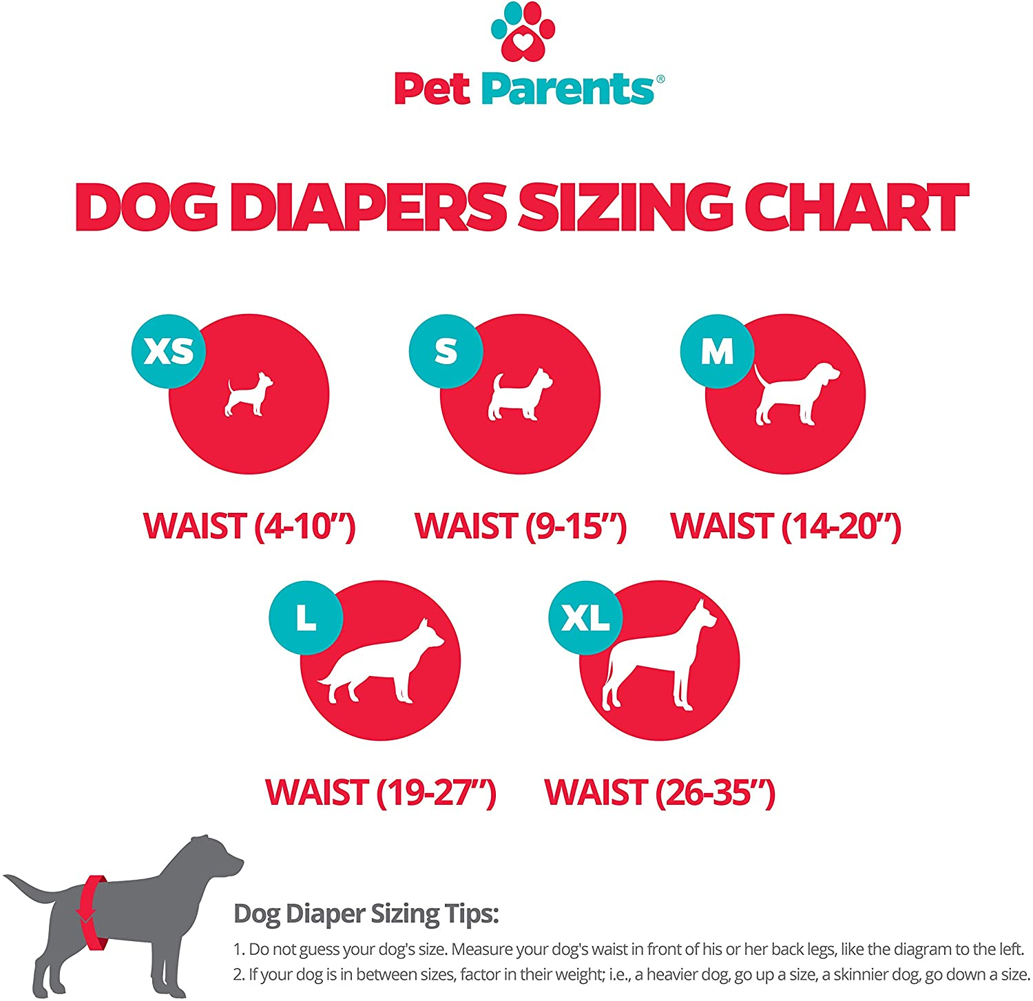 Washable Pet Diapers 