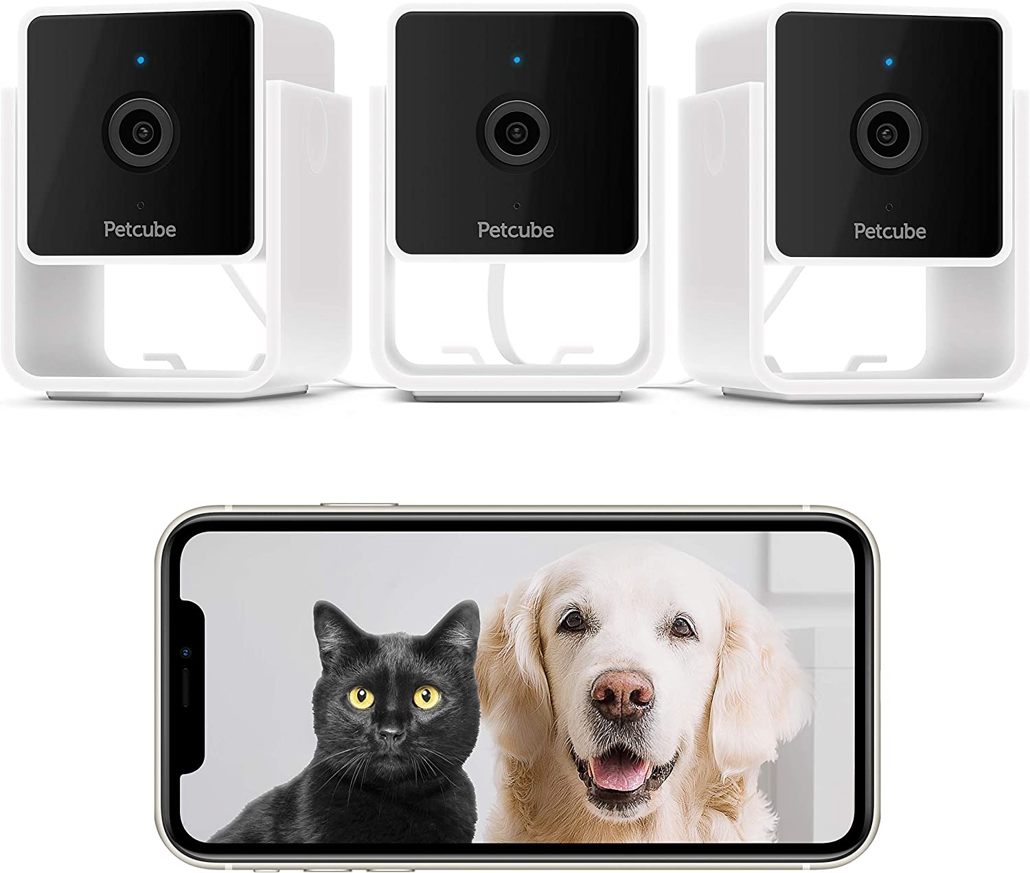 Cam Pet Monitoring Camera 
