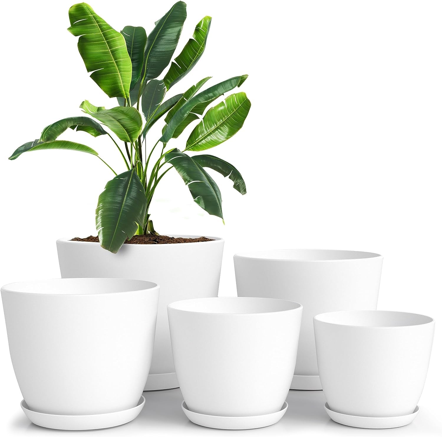 - Plant Pots Indoor with Drainage - 7/6.6/6/5.3/4.8 Inches Home Decor Flower Pots for Indoor Planter - Pack of 5 Plastic Planters for Indoor Plants, Cactus, Succulents Pot - White