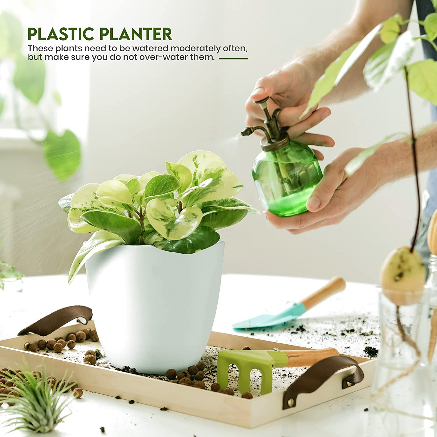 - Plant Pots Indoor with Drainage - 7/6.6/6/5.3/4.8 Inches Home Decor Flower Pots for Indoor Planter - Pack of 5 Plastic Planters for Indoor Plants, Cactus, Succulents Pot - White