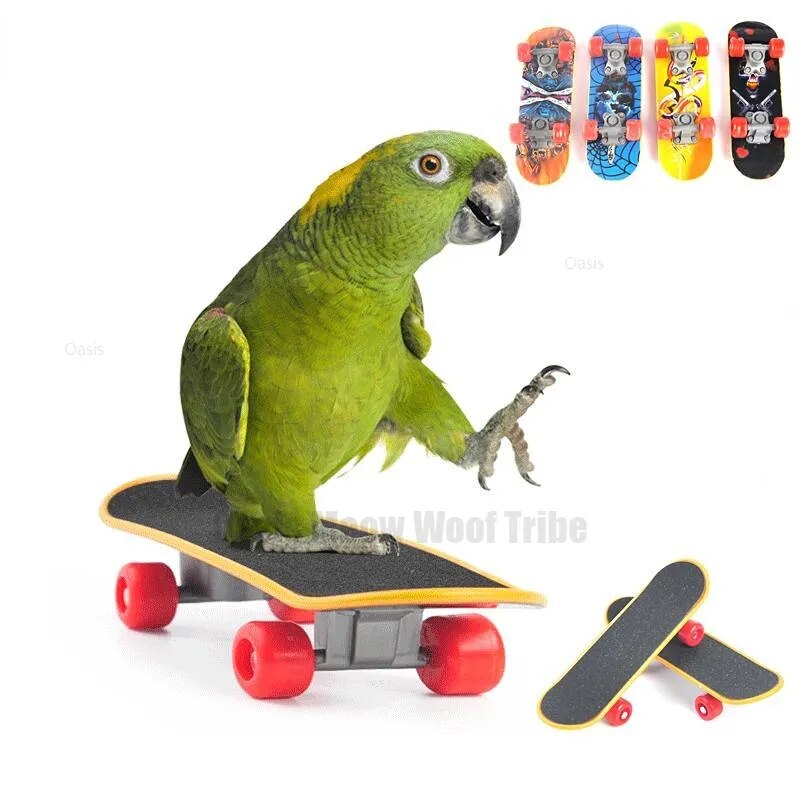 Feather Fun: Parrot's Mini Skateboard is sitting on a skateboard.