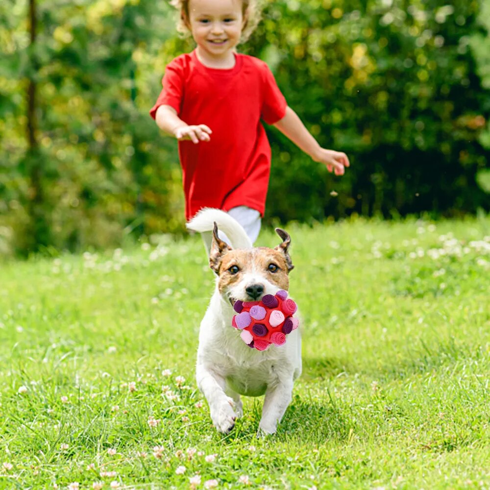 A dog is engaging with a Pup's Funtime Interactive Snuffle Ball.
