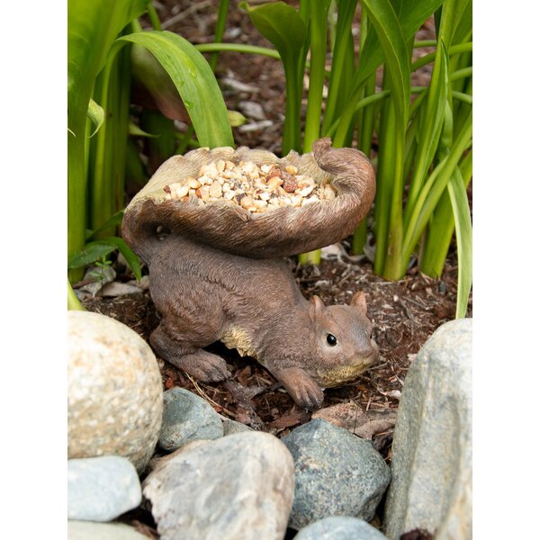 A Songbird Valley Squirrel's Tail Bird Feeder with a bag of seeds on its back.