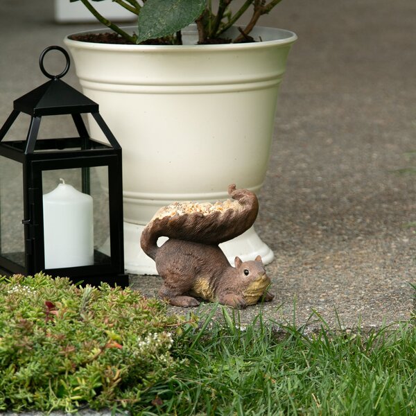 A Songbird Valley Squirrel's Tail Bird Feeder with a bag of seeds on its back.