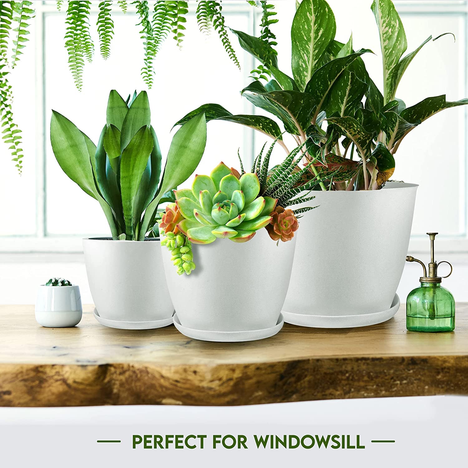 - Plant Pots Indoor with Drainage - 7/6.6/6/5.3/4.8 Inches Home Decor Flower Pots for Indoor Planter - Pack of 5 Plastic Planters for Indoor Plants, Cactus, Succulents Pot - White