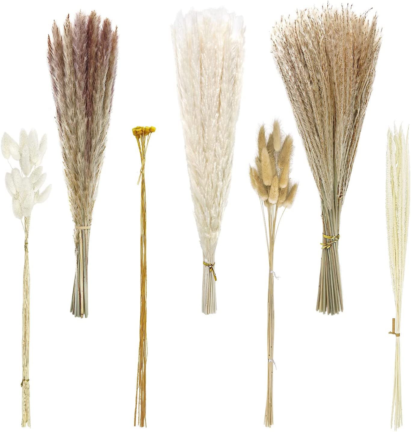 135Pcs Dried Pampas Grass Dried Flowers Home Decor Arrangement Plant Wedding Part Dried Flowers Decorations Natural Boho Pampas Grass Bouquet White Small Fluffy Reed Bunny Tails