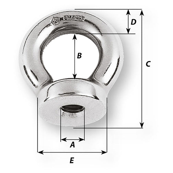 A Wichard 5/16 Eye Nut - 21/32" Diameter designed for fastening applications, on a white background.