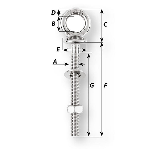 An Wichard Eye Bolt - Diameter 15/32" - Length 1-9/16" made from stainless steel on a white background.