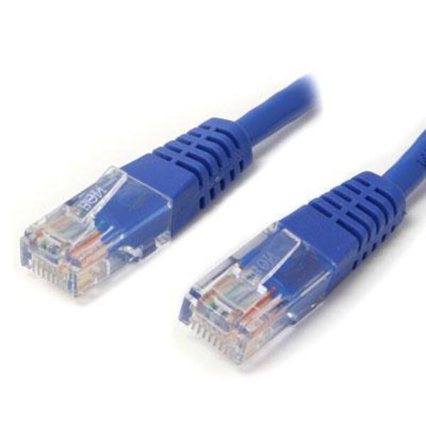 A pair of StarTech.com 50ft Blue Molded Cat5e UTP Patch Cables on a white background.
