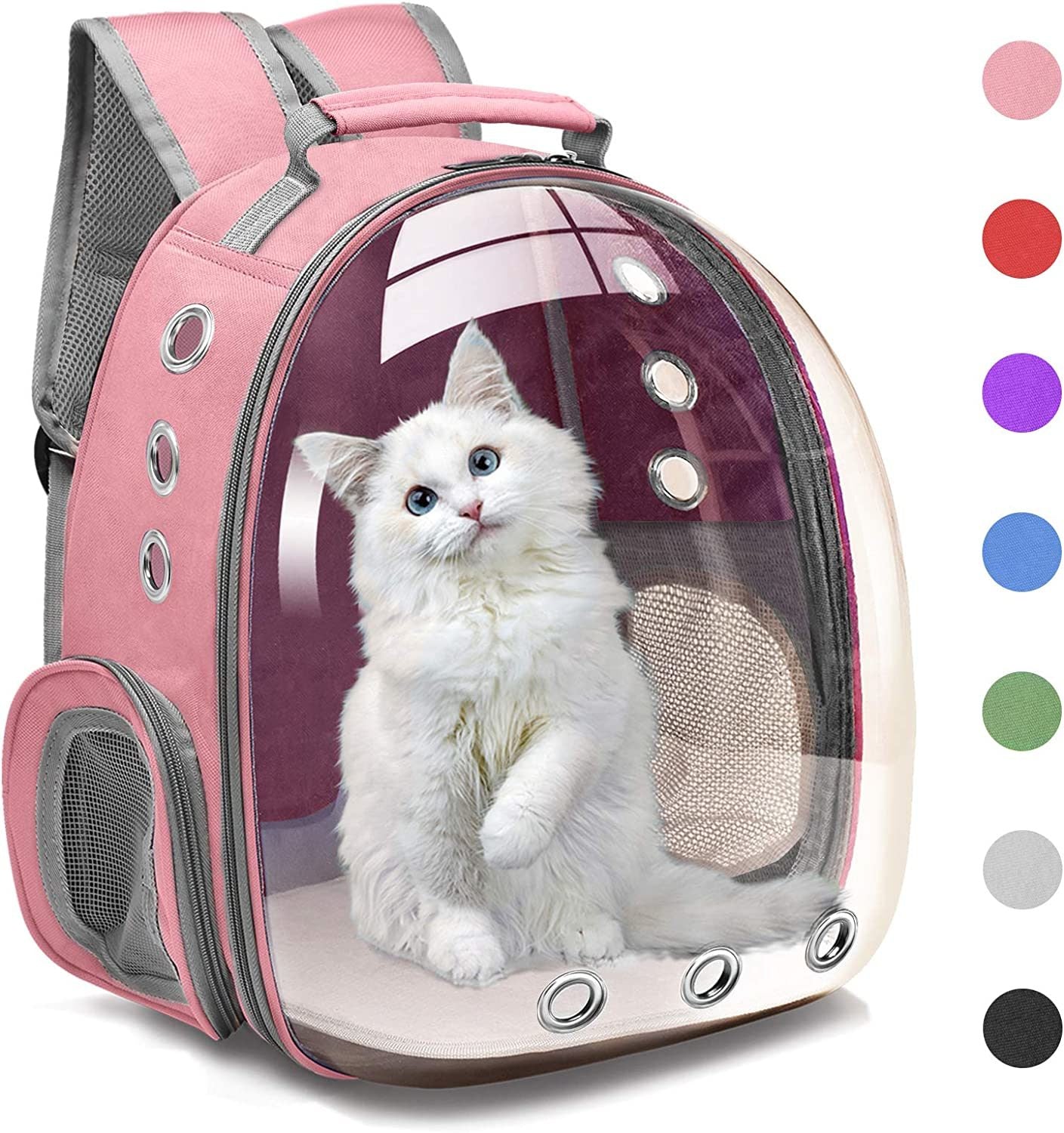 A white kitten inside a Space Capsule Pet Carrier Dog Hiking Backpack, looking out with a curious expression.