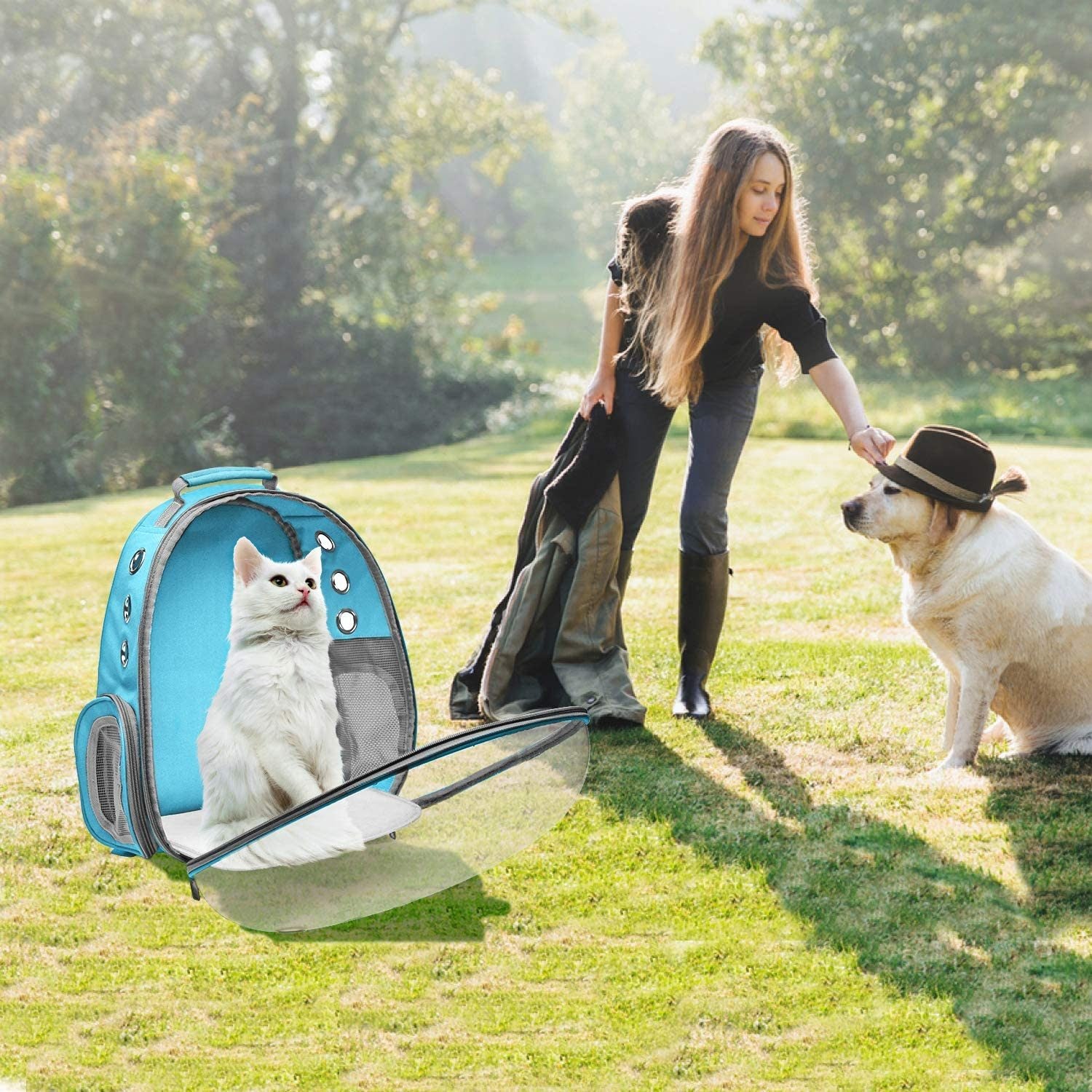 A white kitten inside a Space Capsule Pet Carrier Dog Hiking Backpack, looking out with a curious expression.