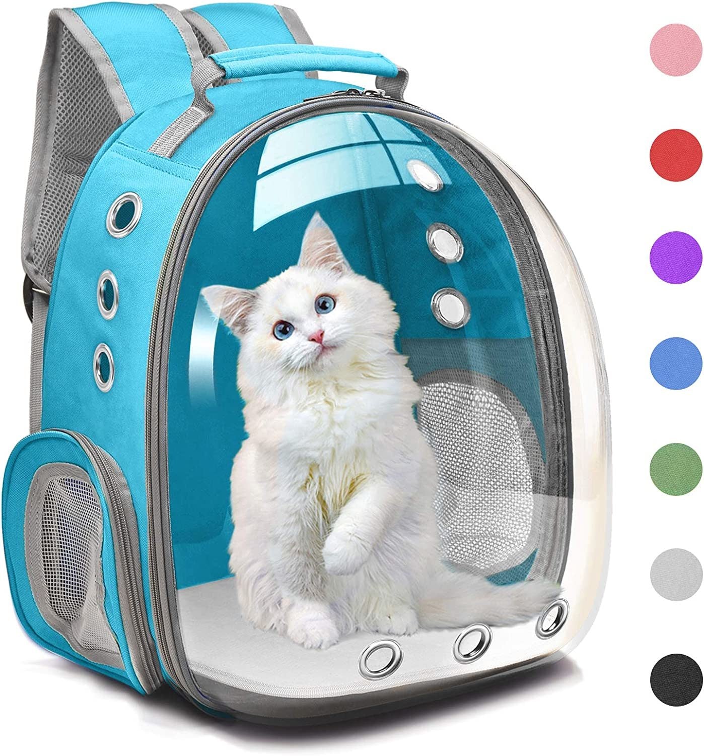 A white kitten inside a Space Capsule Pet Carrier Dog Hiking Backpack, looking out with a curious expression.