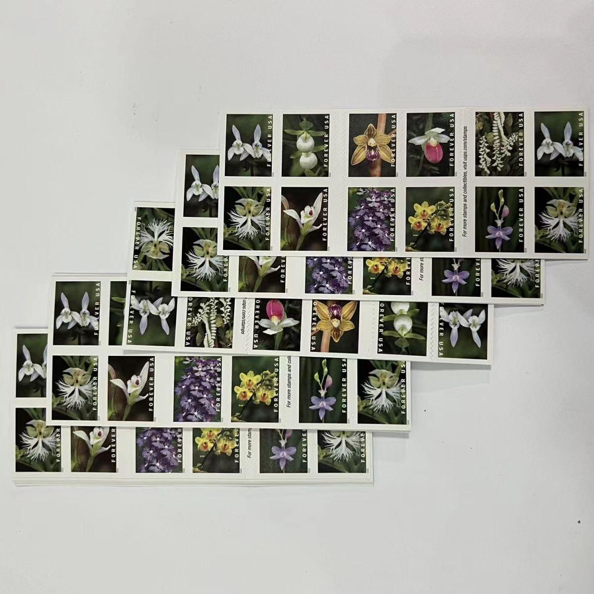 Wild Orchids 2020 - 5 Booklets / 100 Pcs