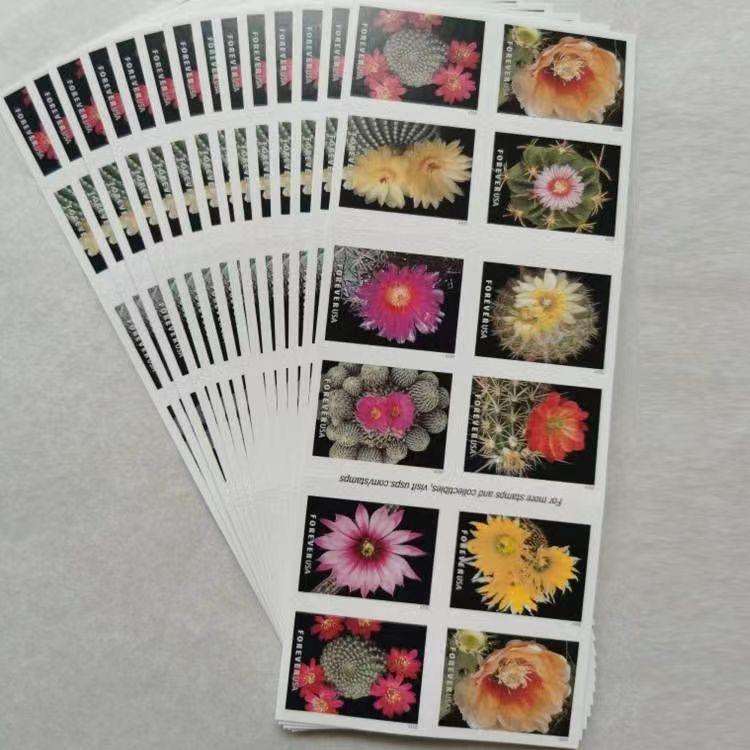 A collection of postage stamps from the "Cactus Flowers 2019 - 5 Booklets / 100 Pcs" series featuring various cactus flowers displayed in a fan arrangement on a light grey background.