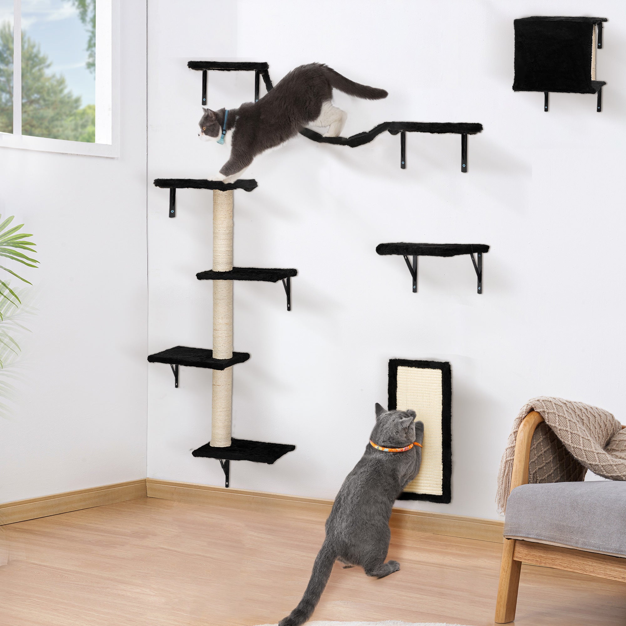 A cat is climbing up a 5 Pcs Wall Mounted Cat Climber Set, also known as floating cat shelves and perches, in a room.