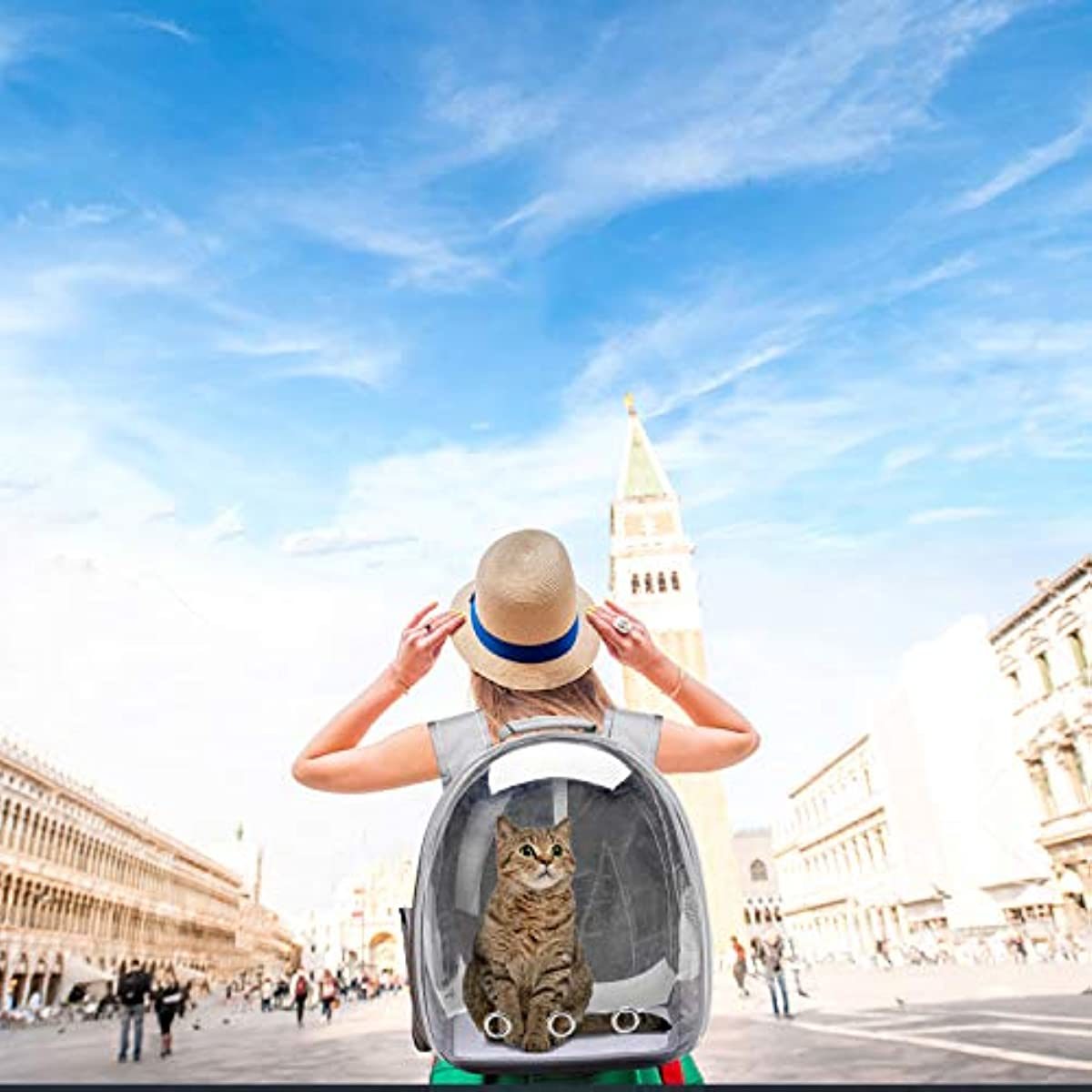 A white kitten inside a Space Capsule Pet Carrier Dog Hiking Backpack, looking out with a curious expression.