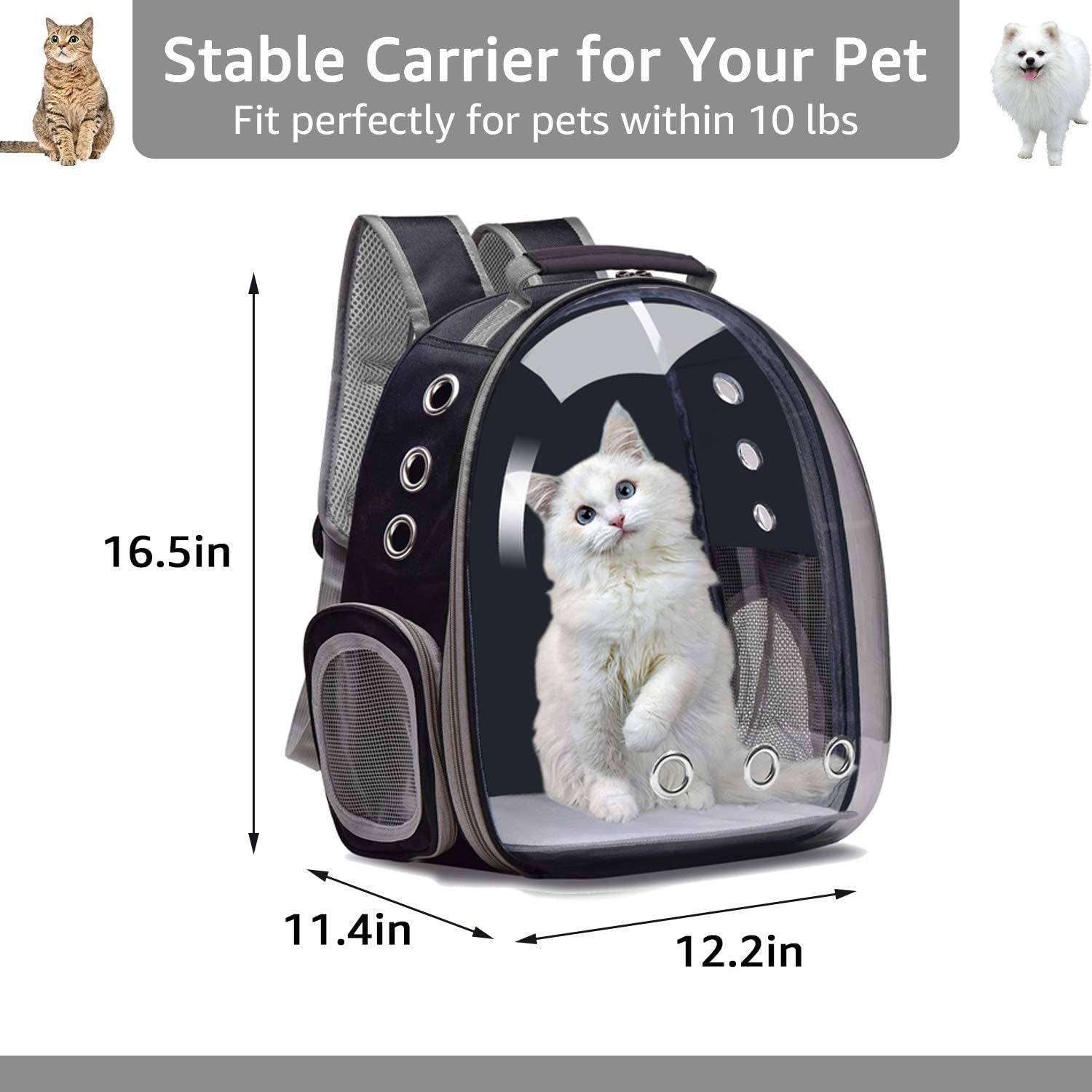 A white kitten inside a Space Capsule Pet Carrier Dog Hiking Backpack, looking out with a curious expression.