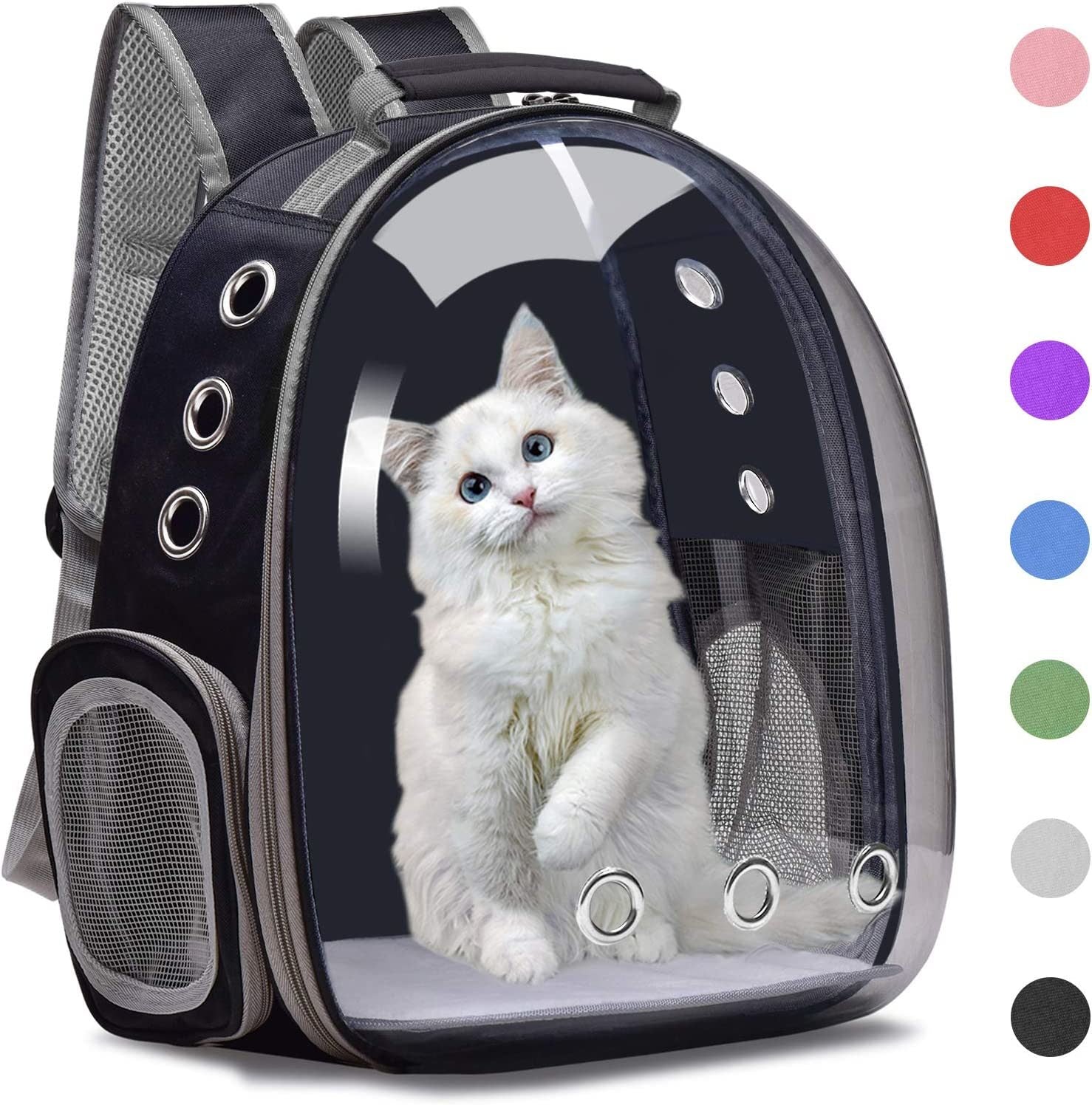 A white kitten inside a Space Capsule Pet Carrier Dog Hiking Backpack, looking out with a curious expression.