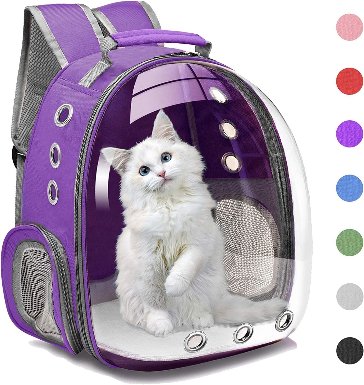 A white kitten inside a Space Capsule Pet Carrier Dog Hiking Backpack, looking out with a curious expression.