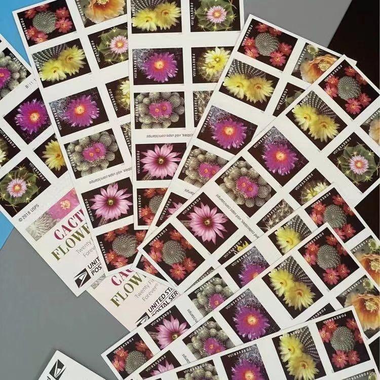 A collection of postage stamps from the "Cactus Flowers 2019 - 5 Booklets / 100 Pcs" series featuring various cactus flowers displayed in a fan arrangement on a light grey background.