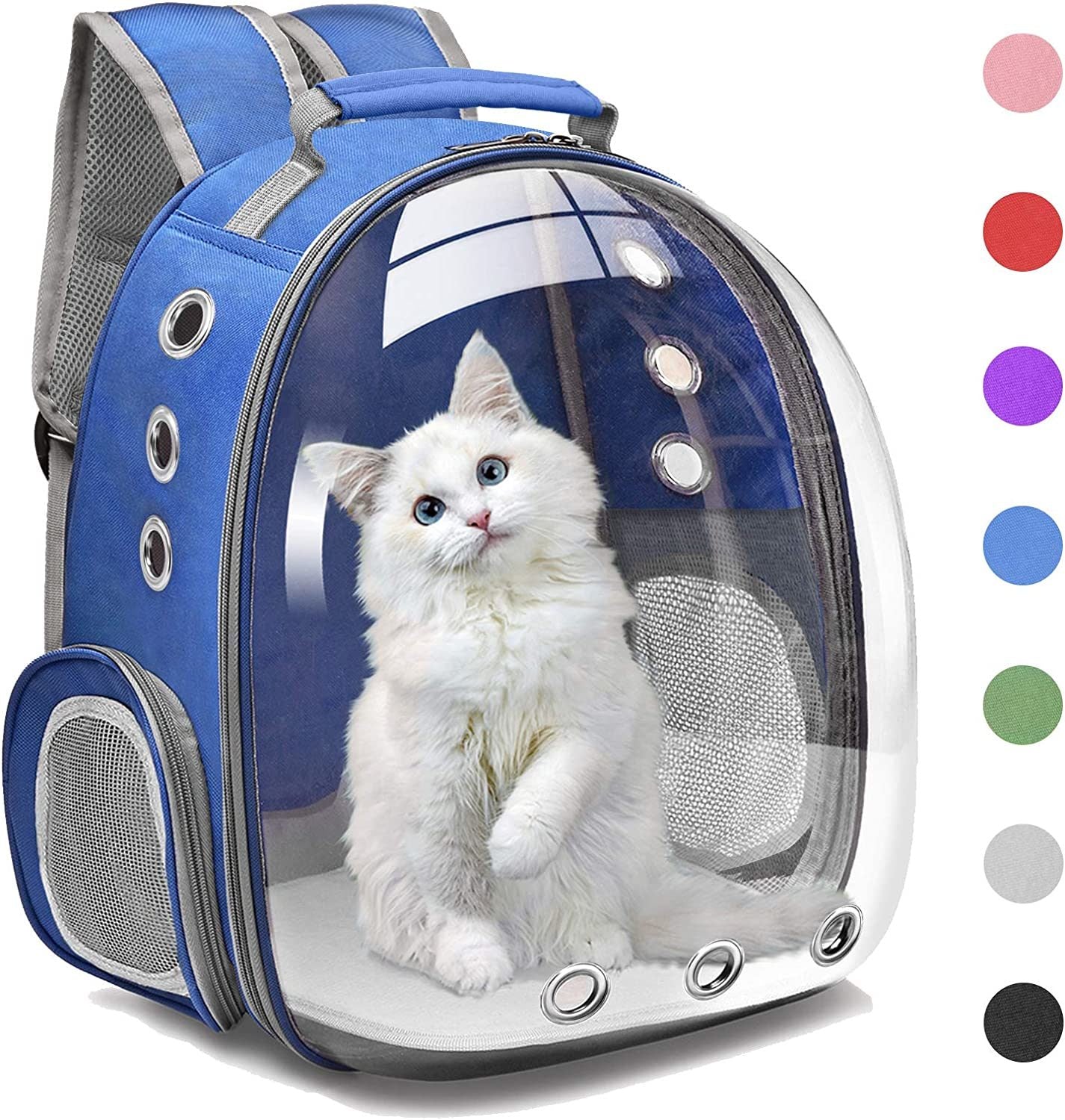 A white kitten inside a Space Capsule Pet Carrier Dog Hiking Backpack, looking out with a curious expression.