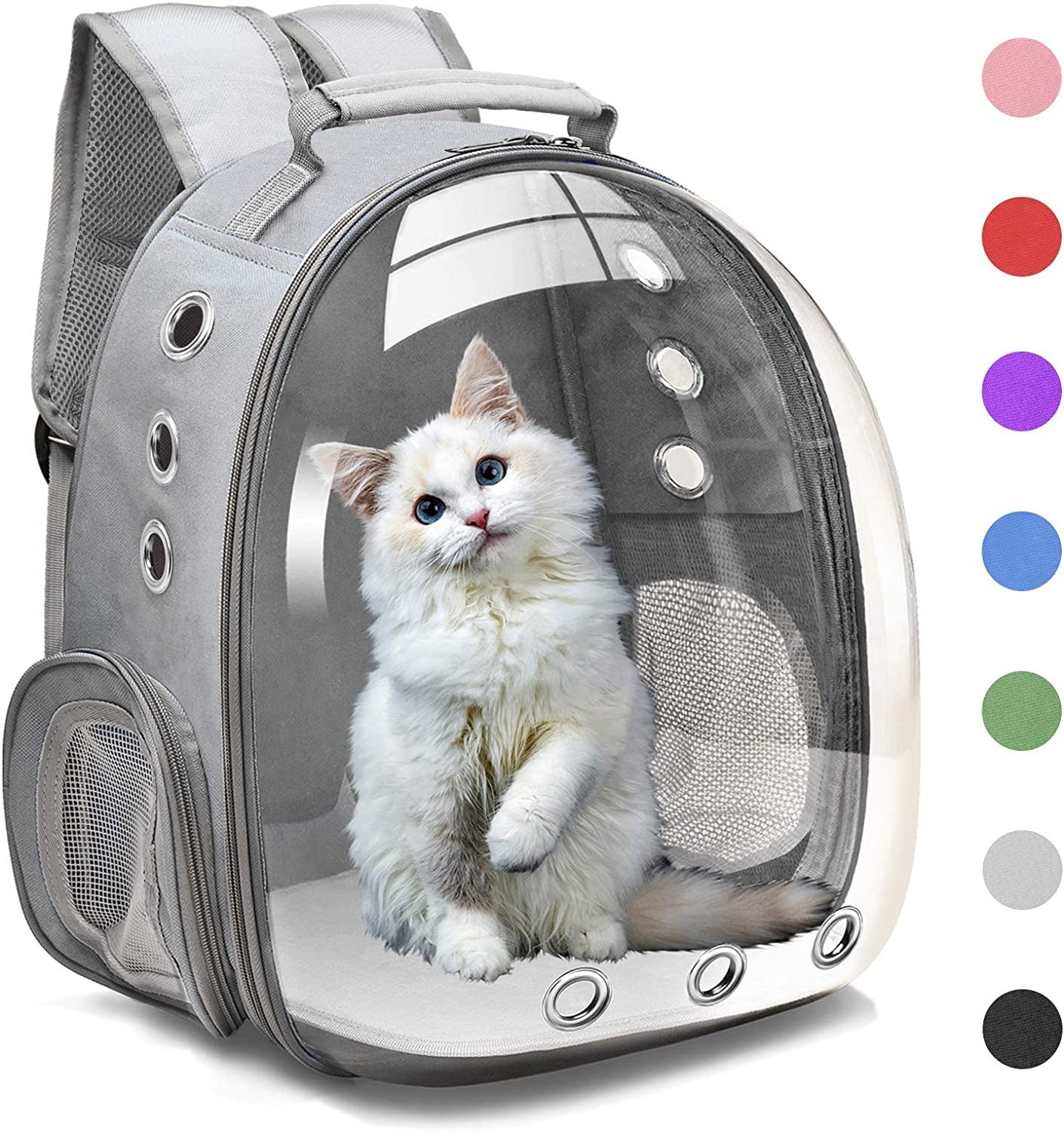 A white kitten inside a Space Capsule Pet Carrier Dog Hiking Backpack, looking out with a curious expression.