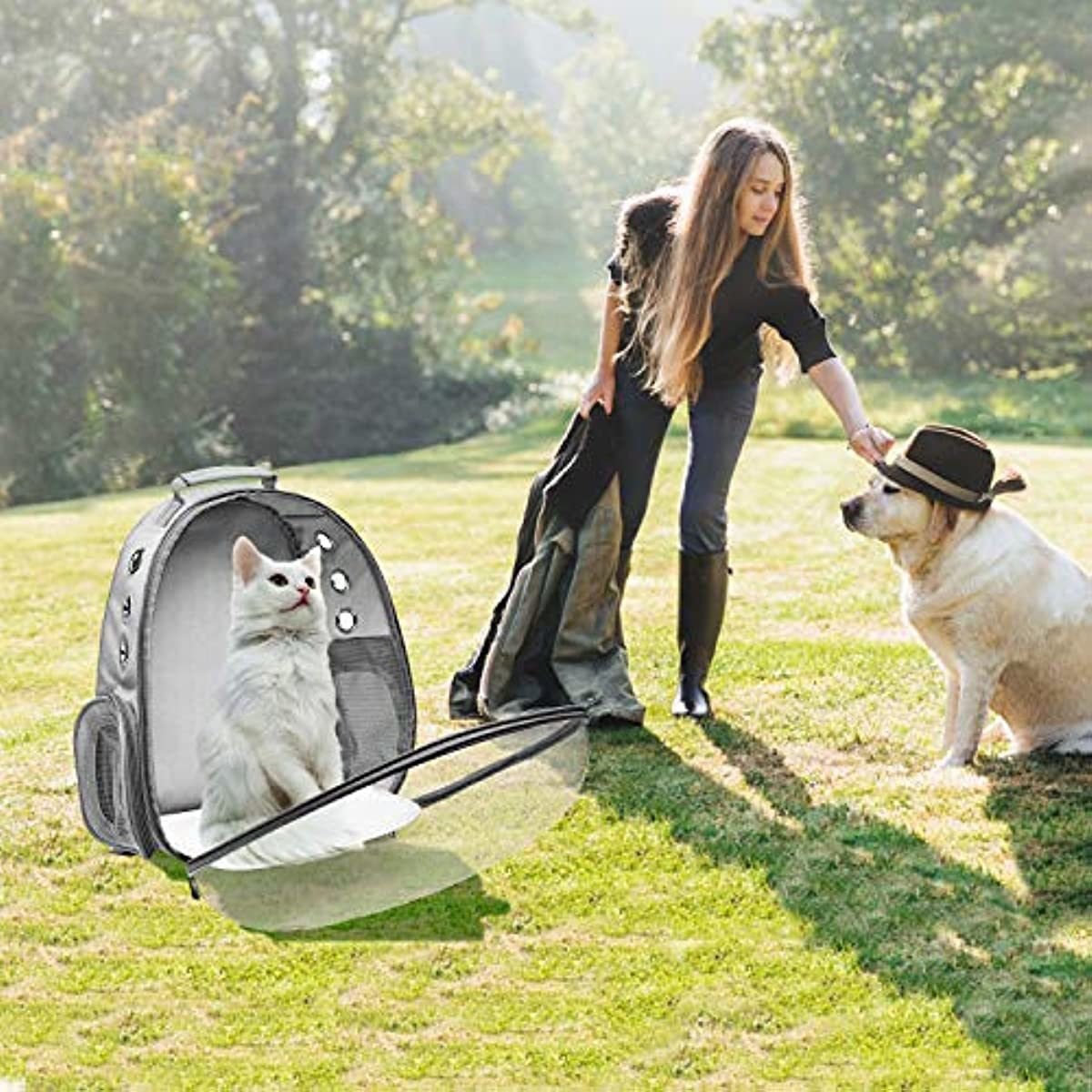 A white kitten inside a Space Capsule Pet Carrier Dog Hiking Backpack, looking out with a curious expression.