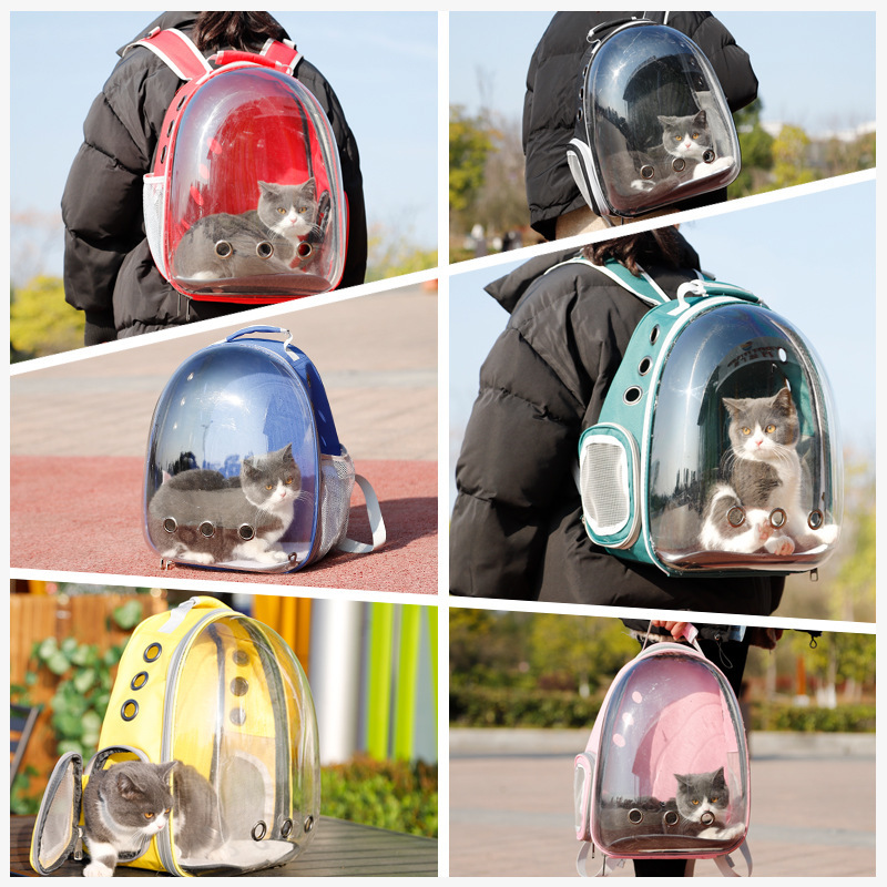 A white kitten inside a Space Capsule Pet Carrier Dog Hiking Backpack, looking out with a curious expression.