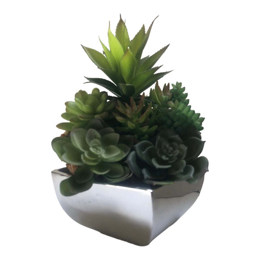 A minimalist arrangement of succulents in a Decorative Flower Vase.