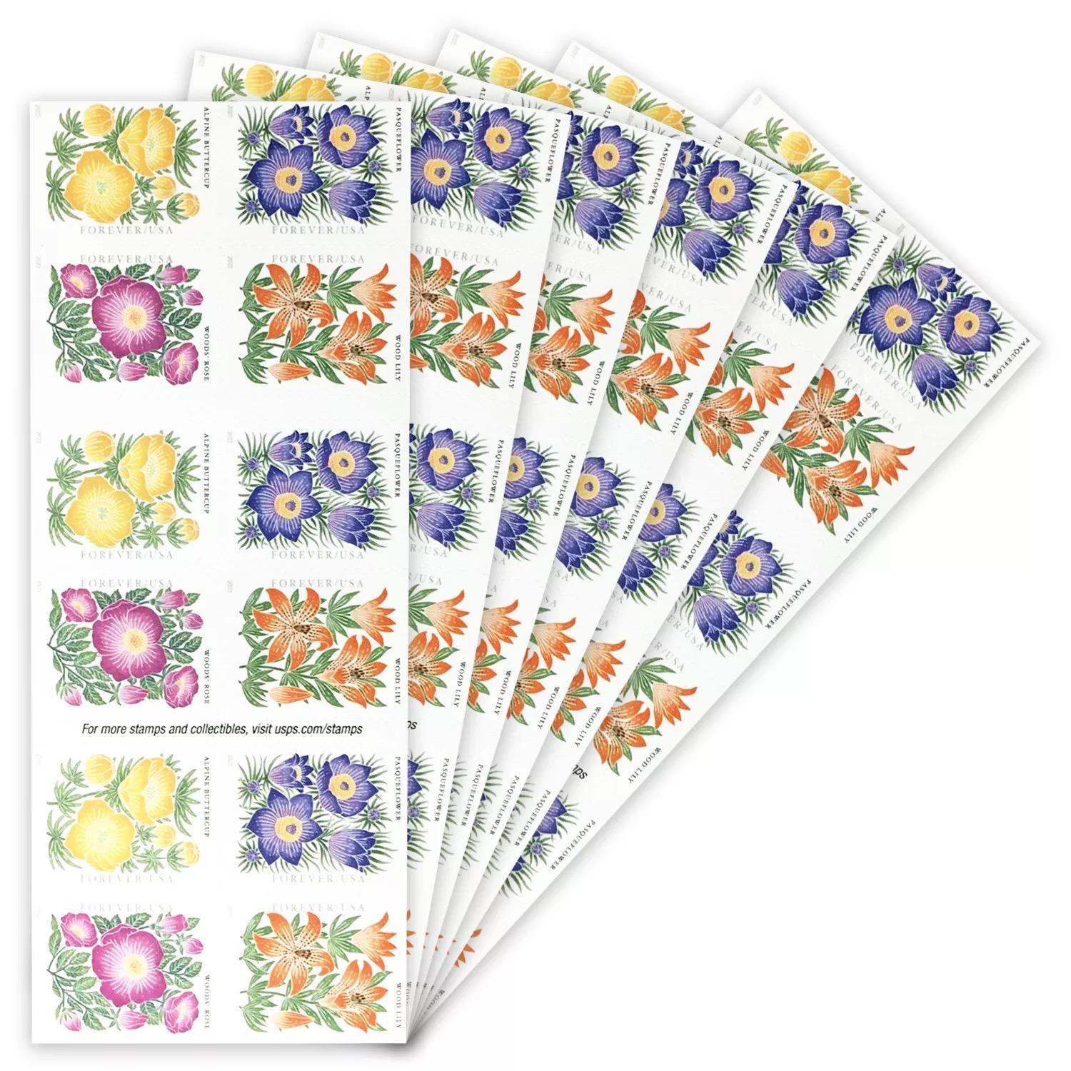 A booklet of Mountain Flora 2022 postage stamps featuring four varieties of colorful mountain flora arranged in uniform rows. Each stamp is labeled with the flower's name and denomination.