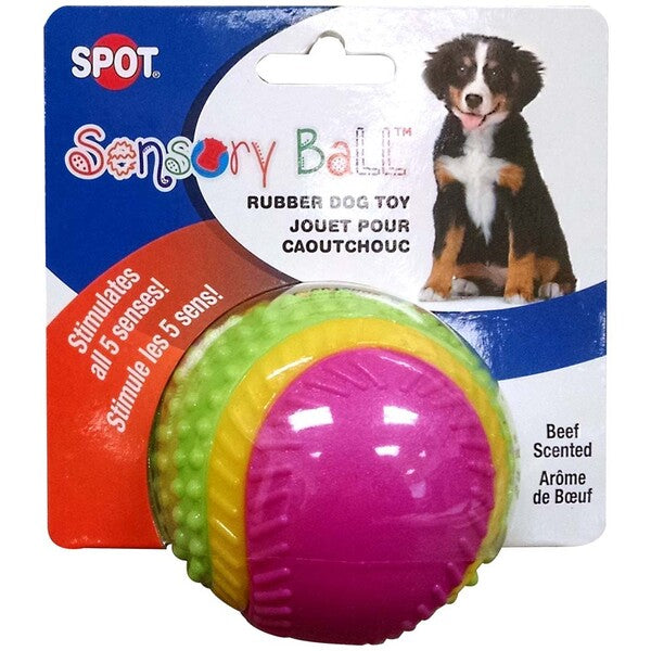 Spot Sensory Ball Dog toy Assorted 3.25 in Medium with multiple textures for stimulating dogs' senses.