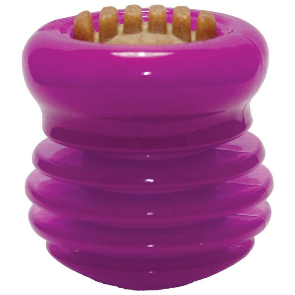 A Starmark Groovy Ball with USA Made Treat Purple, 1ea/MD with a hole in the middle.