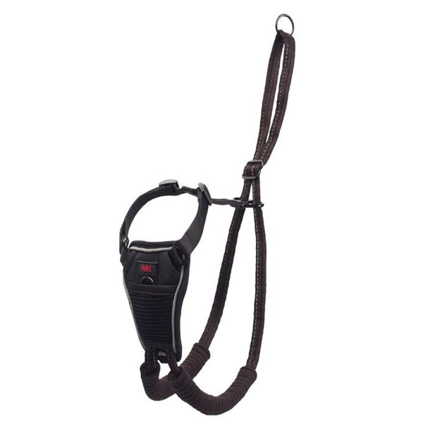 A TCOA D HALTI NO PULL HRN SM dog harness on a white background.
